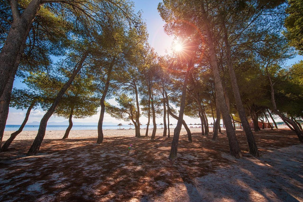 Mediterrania I By Esteva Emerald *