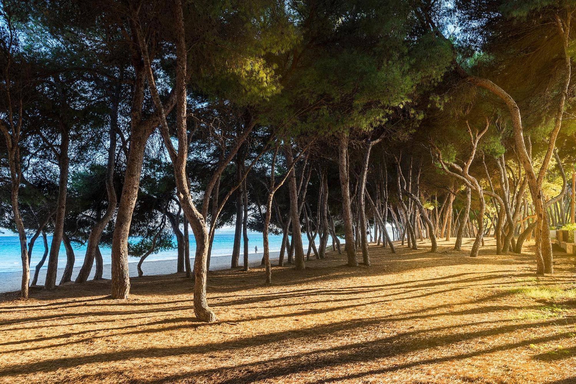 Mediterrania I By Esteva Emerald * Alcudia (Mallorca)